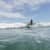 Got Barreled surf photos Boiling Pot by Lachlan Evans