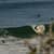 Got Barreled surf photos Duranbah Beach (D-bah) by Ananda Capeletti