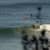Got Barreled surf photos Duranbah Beach (D-bah) by Ananda Capeletti
