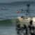 Got Barreled surf photos Duranbah Beach (D-bah) by Ananda Capeletti