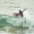 Got Barreled surf photos Burleigh Heads by Dorian Demdoum