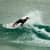 Got Barreled surf photos Snapper Rocks by Dorian Demdoum