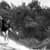 Got Barreled surf photos The Pass by Luke Porter