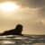 Got Barreled surf photos The Pass by Luke Porter