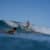 Got Barreled surf photos Snapper Rocks by Fabricio  Costa Rinke