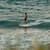Got Barreled surf photos Wategos Beach by Simone Johnson