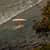 Got Barreled surf photos Wategos Beach by Simone Johnson