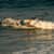 Got Barreled surf photos Wategos Beach by Simone Johnson