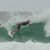 Got Barreled surf photos Snapper Rocks by Alan Minifie