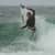 Got Barreled surf photos Snapper Rocks by Alan Minifie