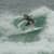 Got Barreled surf photos Snapper Rocks by Alan Minifie