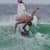 Got Barreled surf photos Snapper Rocks by Alan Minifie