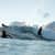 Got Barreled surf photos Snapper Rocks by Jack Paterson