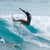 Got Barreled surf photos Duranbah Beach (D-bah) by Dorian Demdoum