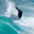 Got Barreled surf photos Duranbah Beach (D-bah) by Dorian Demdoum