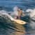 Got Barreled surf photos South West Rocks by John McJannett