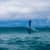 Got Barreled surf photos Greenmount by Simon Garrett