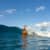 Got Barreled surf photos Greenmount by Drift Collective