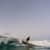 Got Barreled surf photos Greenmount by Drift Collective