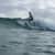 Got Barreled surf photos Rainbow Bay by Oscar Codoceo