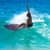 Got Barreled surf photos Snapper Rocks by Dorian Demdoum