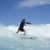 Got Barreled surf photos Duranbah Beach (D-bah) by Felipe Gutnisky