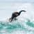 Got Barreled surf photos Snapper Rocks by Dorian Demdoum