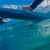 Got Barreled surf photos Snapper Rocks by Simon Garrett