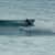 Got Barreled surf photos Lennox Point by Adar Wallerstein