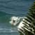 Got Barreled surf photos Lennox Point by Pedro  Corsato