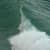 Got Barreled surf photos Lennox Point by Pedro  Corsato