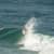 Got Barreled surf photos Lennox Point by Pedro  Corsato