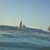 Got Barreled surf photos Currumbin Alley by Oscar Codoceo