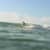 Got Barreled surf photos Currumbin Alley by Oscar Codoceo