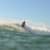 Got Barreled surf photos Currumbin Alley by Oscar Codoceo