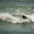 Got Barreled surf photos Kirra by Pedro  Corsato
