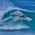 Got Barreled surf photos Duranbah Beach (D-bah) by Richard Goldner