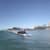 Got Barreled surf photos Rainbow Bay by Jade Jardine