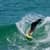 Got Barreled surf photos Rainbow Bay by Aaron Duthie