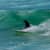 Got Barreled surf photos Rainbow Bay by Aaron Duthie