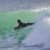 Got Barreled surf photos Snapper Rocks by Alan Minifie