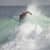 Got Barreled surf photos Snapper Rocks by Alan Minifie