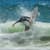 Got Barreled surf photos Duranbah Beach (D-bah) by Richard Goldner