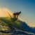 Got Barreled surf photos Snapper Rocks by Simon Garrett