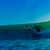Got Barreled surf photos Snapper Rocks by Simon Garrett