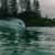 Got Barreled surf photos Rainbow Bay by Simon Garrett