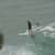 Got Barreled surf photos The Pass by Saki Muramatsu