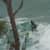 Got Barreled surf photos The Pass by Saki Muramatsu