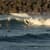 Got Barreled surf photos Duranbah Beach (D-bah) by Ananda Capeletti