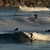 Got Barreled surf photos Duranbah Beach (D-bah) by Ananda Capeletti